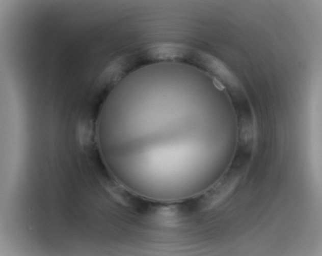 X0000114530411200910191326