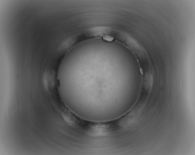 X0000114530413200910191326