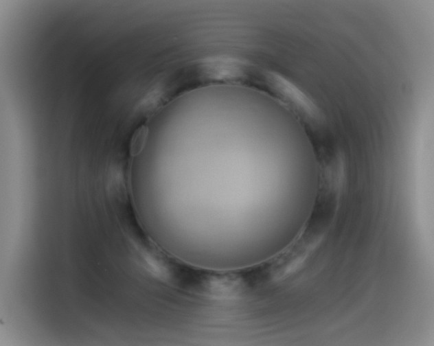 X0000114530415200910191326