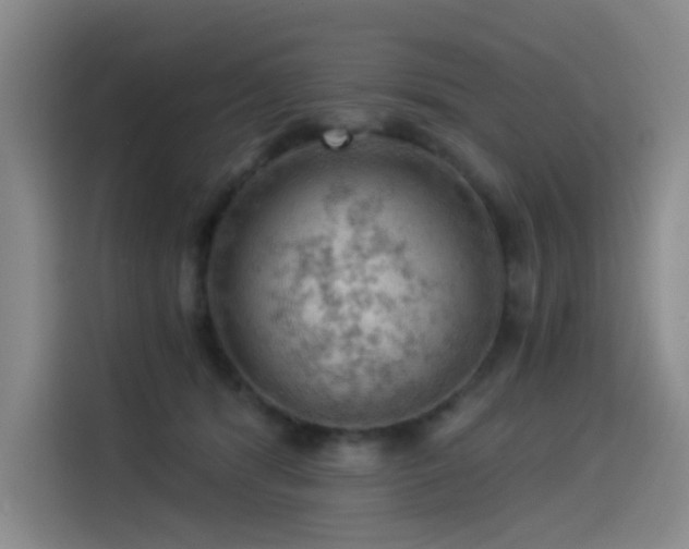 X0000114530416200910191326