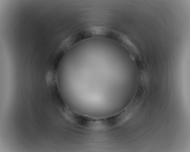 X0000114530419200910191326