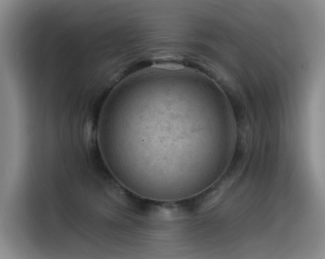 X0000114530420200910191326