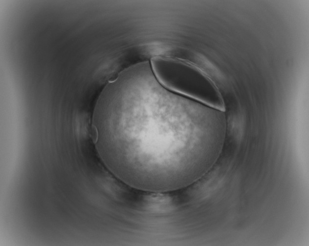 X0000114530421200910191326