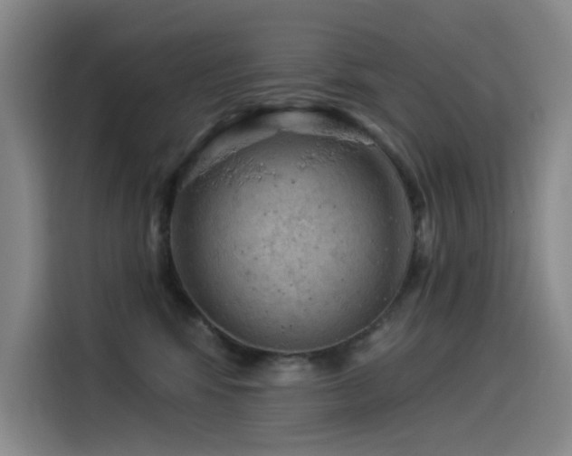 X0000114530424200910191325