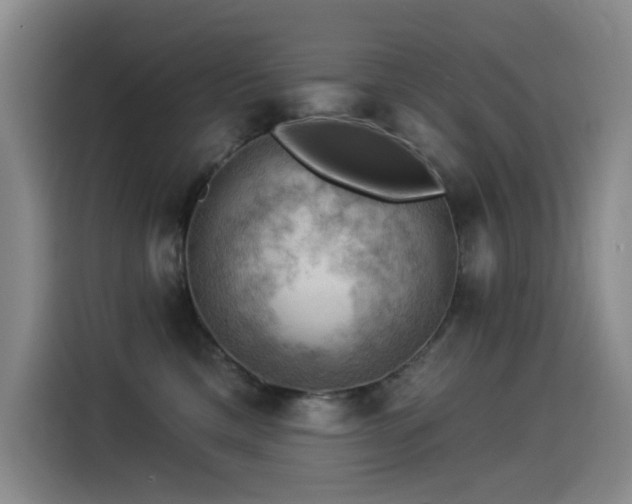 X0000114530425200910191325