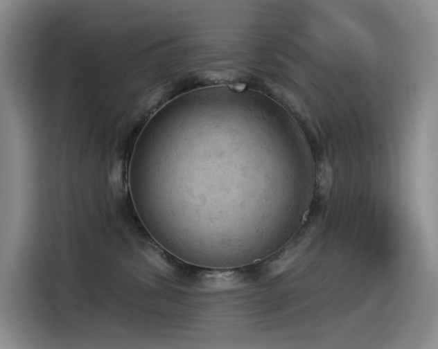 X0000114530428200910191325
