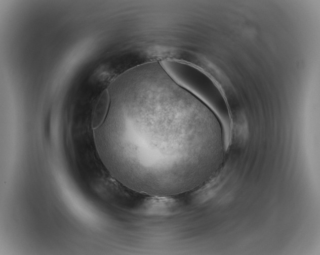 X0000114530429200910191325