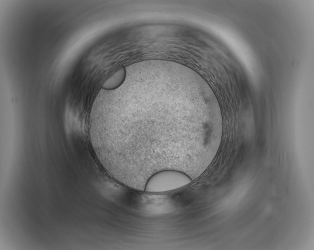 X0000114530431200910191325