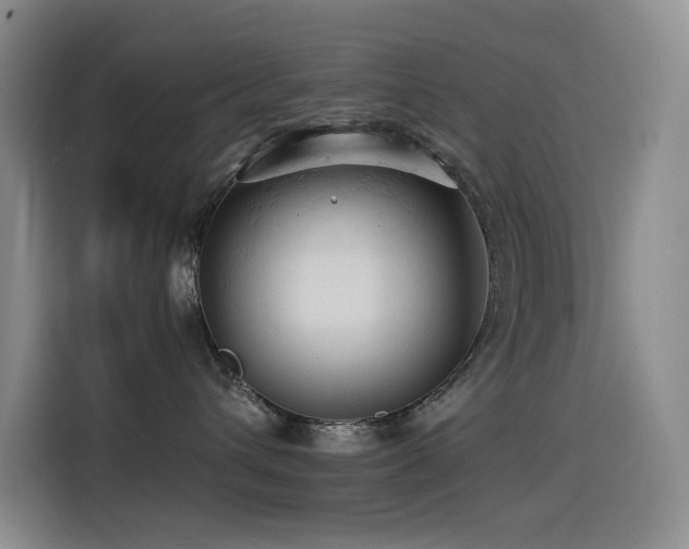 X0000114530432200910191325