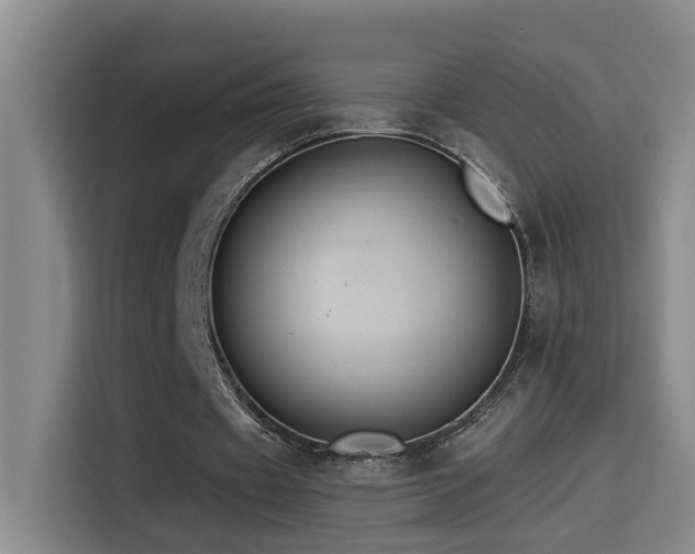 X0000114530433200910191325