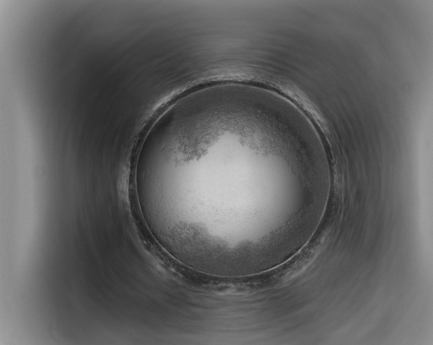 X0000114530434200910191325