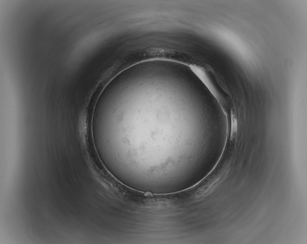 X0000114530435200910191325