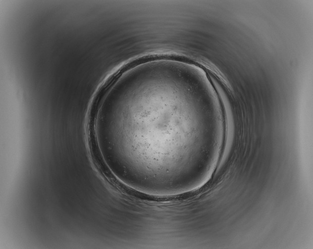 X0000114530436200910191325