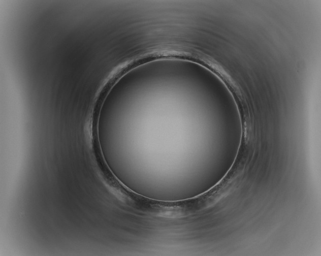 X0000114530438200910191325