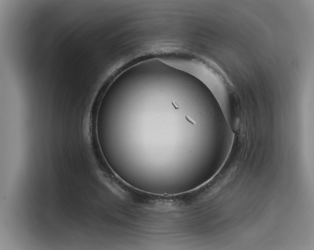 X0000114530439200910191325
