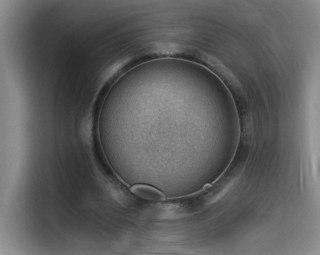 X0000114530440200910191325