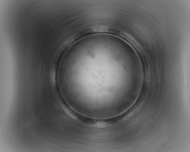 X0000114530441200910191325