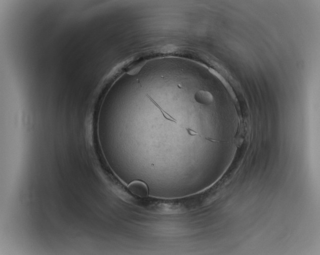 X0000114530442200910191325