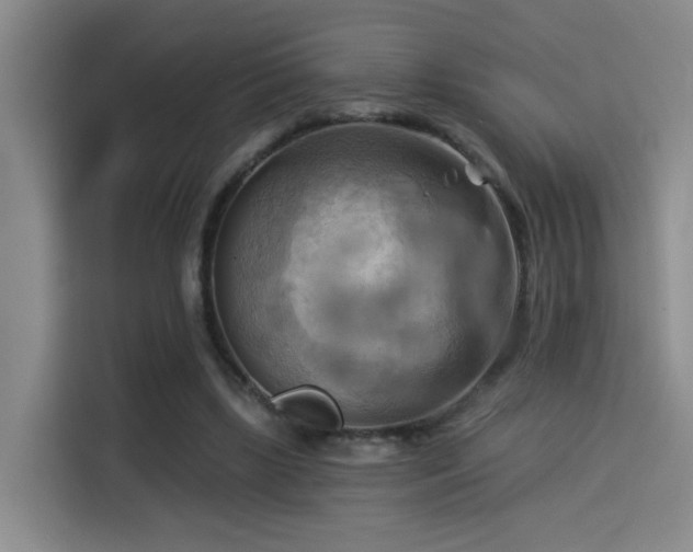 X0000114530443200910191325