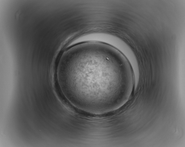X0000114530444200910191325