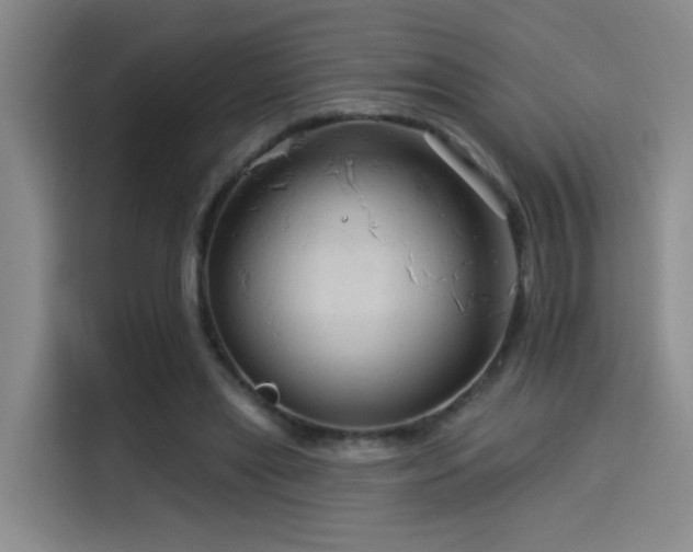 X0000114530445200910191325
