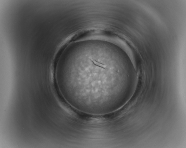 X0000114530446200910191325