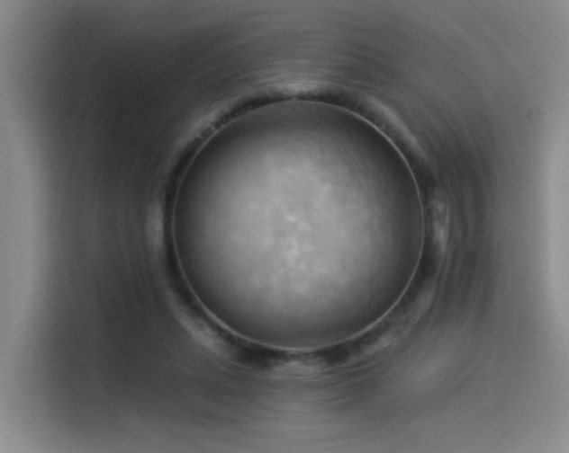 X0000114530447200910191325