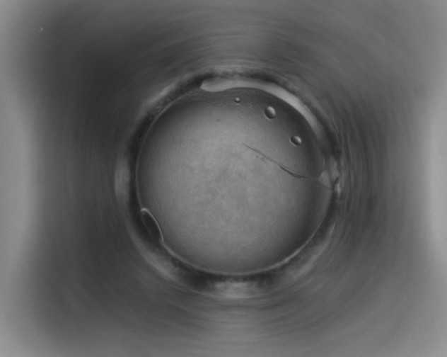 X0000114530448200910191325