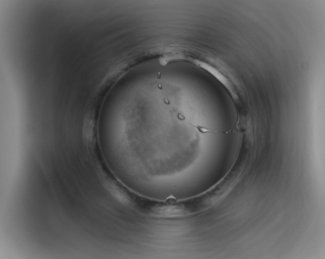 X0000114530449200910191325