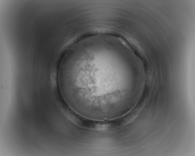 X0000114530450200910191325