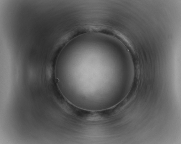 X0000114530451200910191325