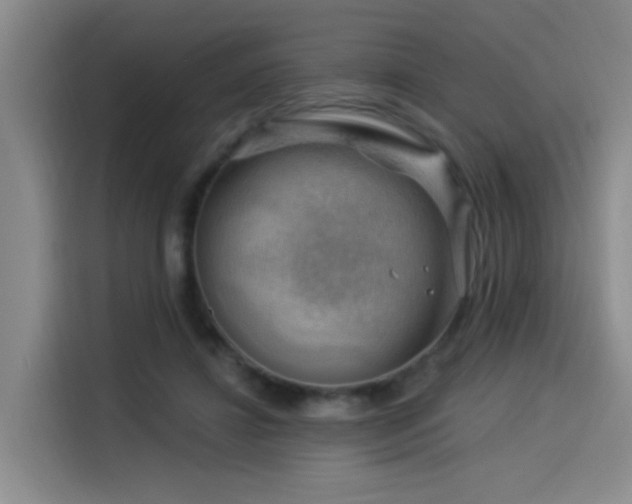 X0000114530452200910191325