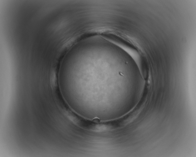 X0000114530453200910191325