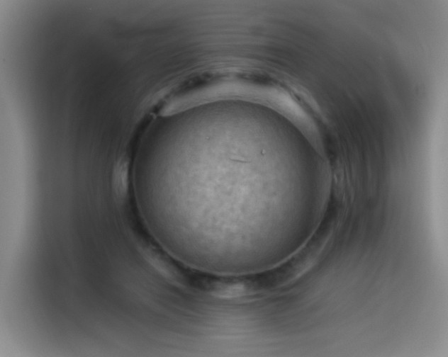 X0000114530454200910191325