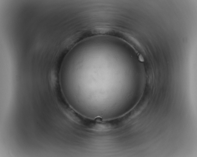 X0000114530455200910191325