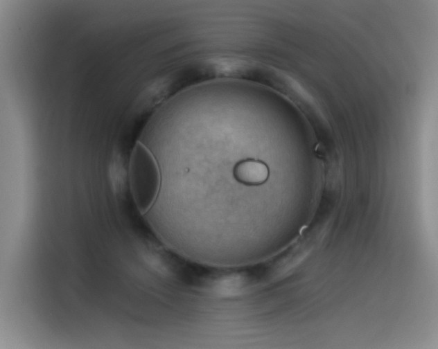 X0000114530456200910191325