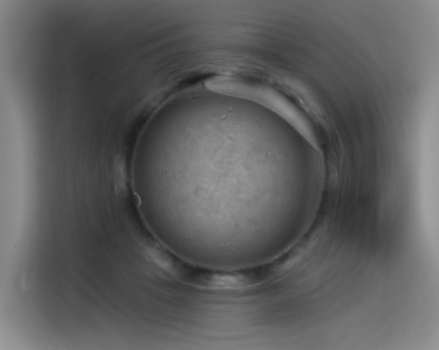 X0000114530457200910191325