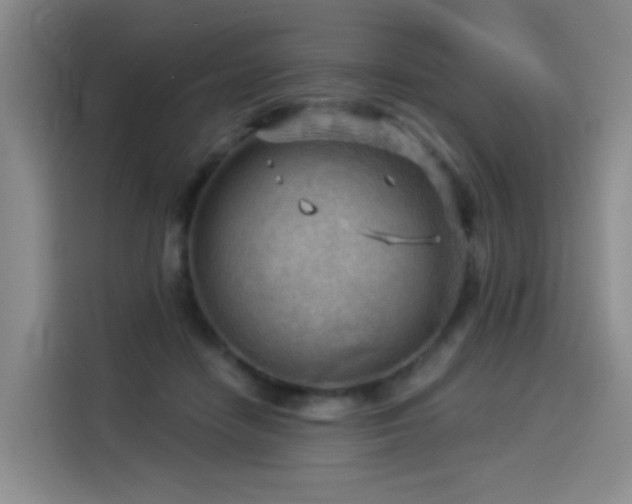 X0000114530458200910191325