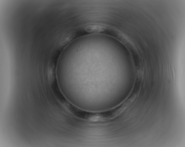 X0000114530460200910191325