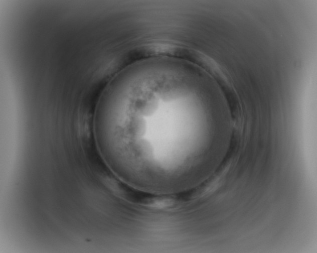 X0000114530462200910191325