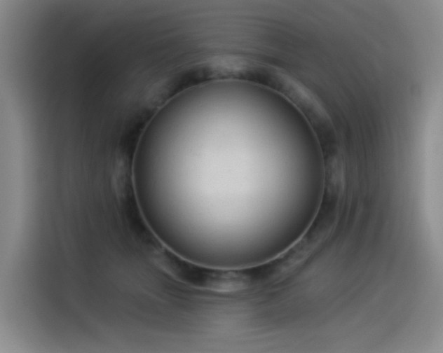 X0000114530463200910191325