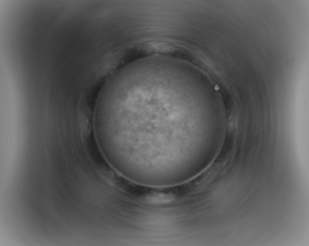 X0000114530464200910191325