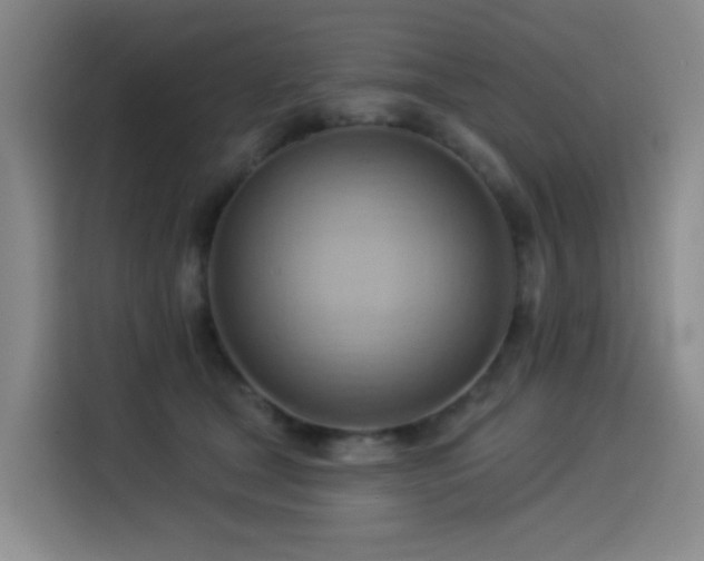 X0000114530465200910191325