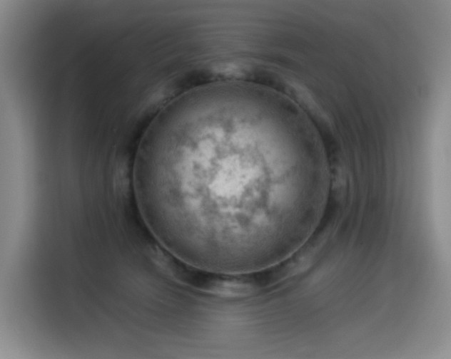 X0000114530466200910191325