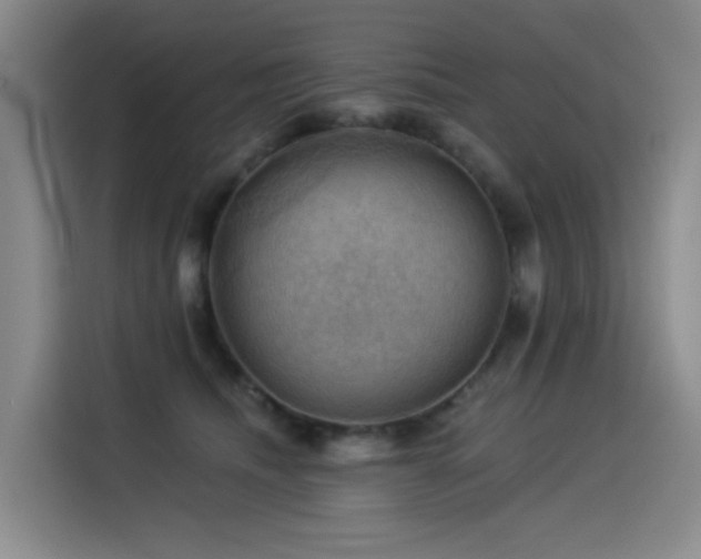 X0000114530468200910191325