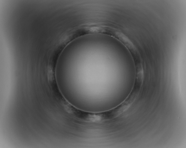 X0000114530469200910191325