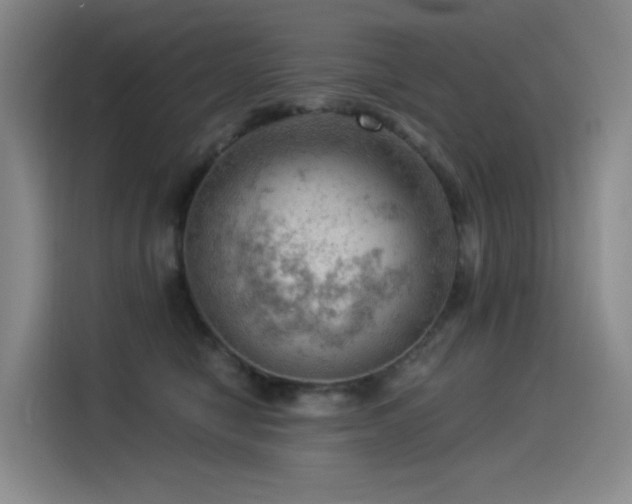 X0000114530470200910191325
