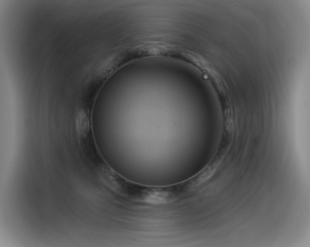 X0000114530471200910191325
