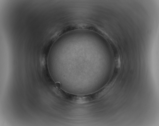 X0000114530472200910191325
