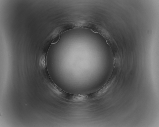 X0000114530479200910191325